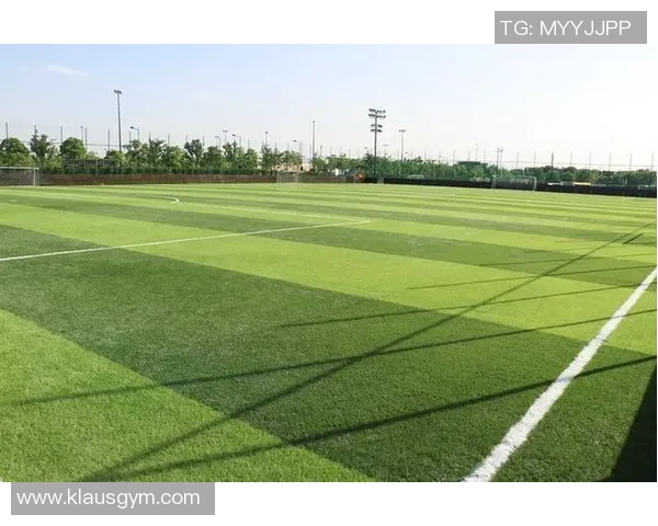 京畿足球公园：体验足球魅力与文化交融的全新乐园